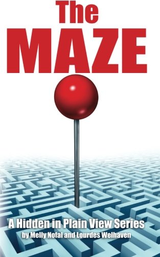 Beispielbild fr The Maze: The Password Organizer Log That Looks Like a Regular Book (Hidden in Plain View) zum Verkauf von SecondSale