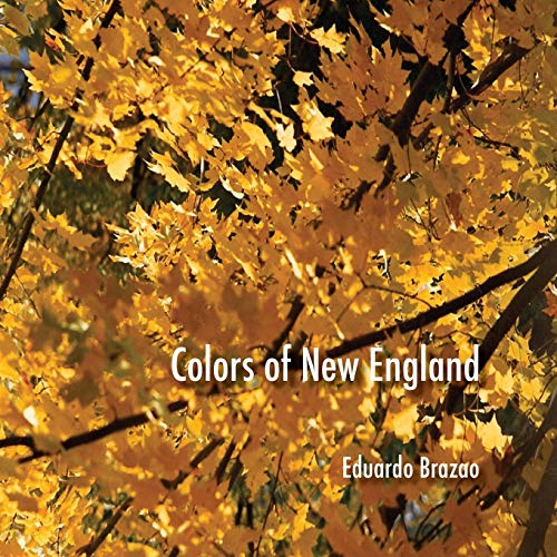 Stock image for Colors of New England for sale by THE SAINT BOOKSTORE