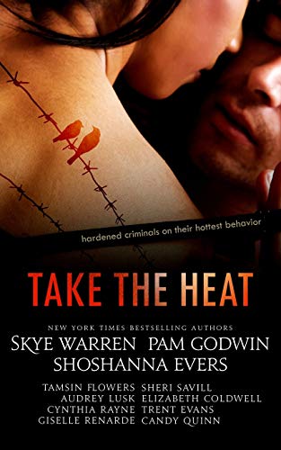 9781501077692: Take the Heat