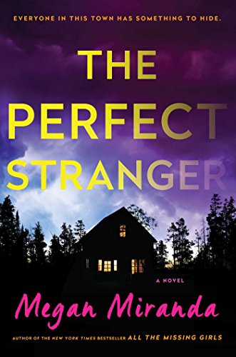 Beispielbild fr The Perfect Stranger : A Novel zum Verkauf von Better World Books