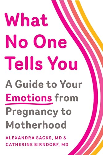 Beispielbild fr What No One Tells You: A Guide to Your Emotions from Pregnancy to Motherhood zum Verkauf von Ergodebooks