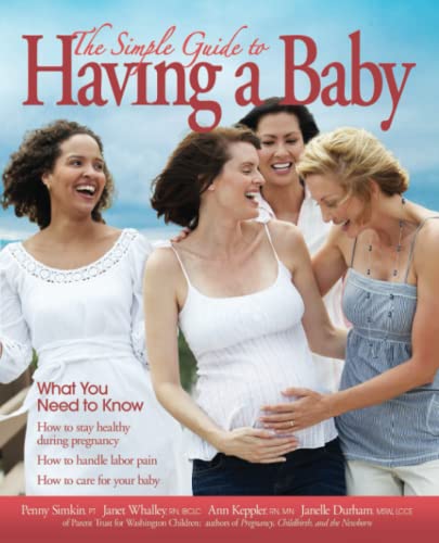 Stock image for Simple Guide to Having a Baby for sale by ZBK Books