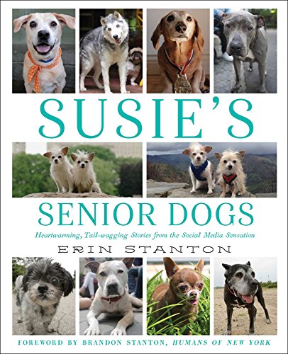 Stock image for Susie's Senior Dogs for sale by Gulf Coast Books