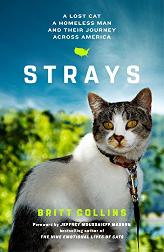 Stock image for Strays: A Lost Cat, a Homeless Man, and Their Journey Across America for sale by Wonder Book