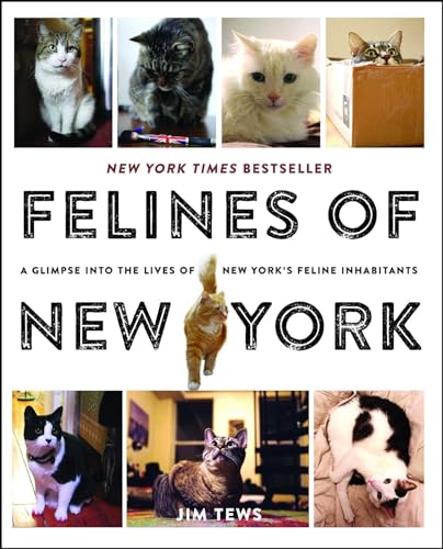 Beispielbild fr Felines of New York: A Glimpse Into the Lives of New York's Feline Inhabitants zum Verkauf von Stillwaters Environmental Ctr of the Great Peninsula Conservancy