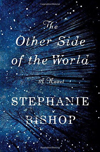 9781501133121: The Other Side of the World: A Novel