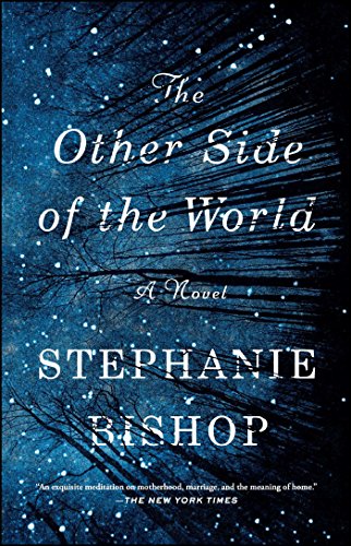 Imagen de archivo de The Other Side of the World: A Novel a la venta por ZBK Books