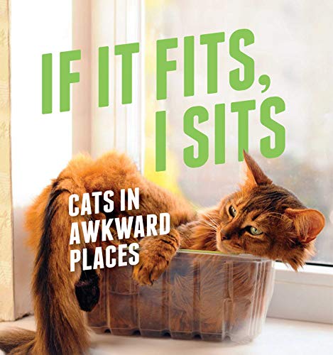 Beispielbild fr If It Fits, I Sits : Cats in Awkward Places zum Verkauf von Better World Books