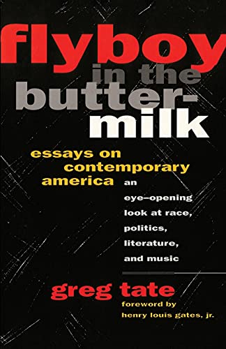 9781501136979: Flyboy In The Buttermilk: Essays On Contemporary America