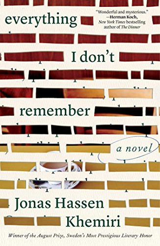9781501138027: Everything I Don't Remember: A Novel