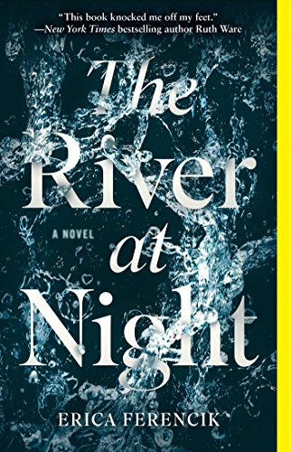 Beispielbild fr The River at Night: A Novel zum Verkauf von Wonder Book