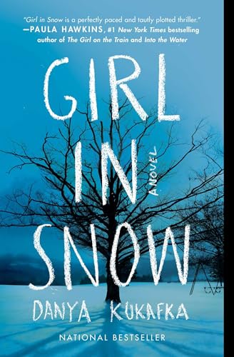 9781501144387: Girl in Snow: A Novel