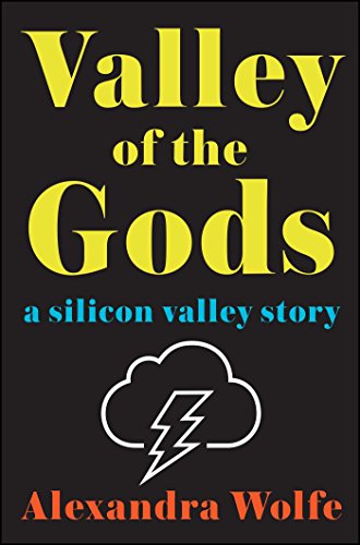 Beispielbild fr Valley of the Gods: A Silicon Valley Story zum Verkauf von BooksRun