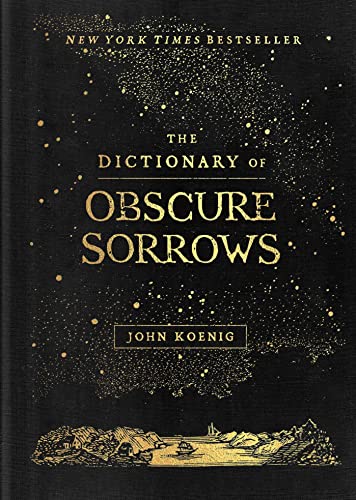 Beispielbild fr The Dictionary of Obscure Sorrows zum Verkauf von Blackwell's