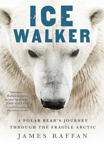 Beispielbild fr Ice Walker : A Polar Bear's Journey Through the Fragile Arctic zum Verkauf von Better World Books