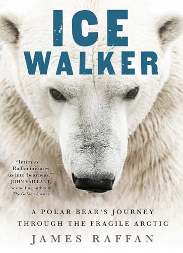 9781501155369: Ice Walker: A Polar Bear's Journey Through the Fragile Arctic