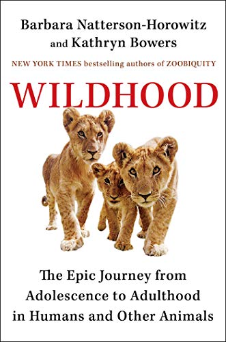 Stock image for Wildhood: The Astounding Connections between Human and Animal Adolescents for sale by SecondSale