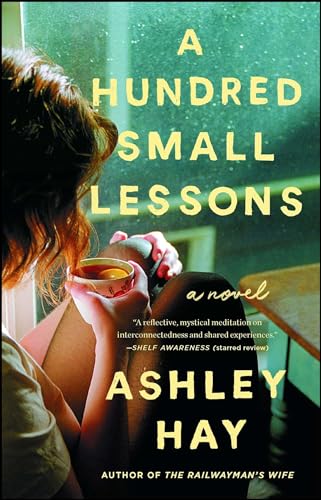 9781501165146: A Hundred Small Lessons: A Novel