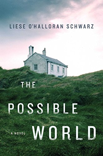 Beispielbild fr The Possible World : A Novel zum Verkauf von Better World Books