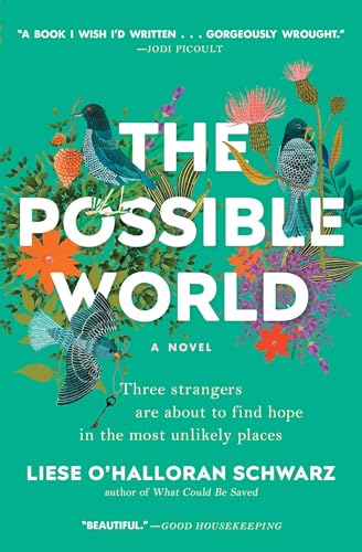 Beispielbild fr The Possible World: A Novel zum Verkauf von SecondSale