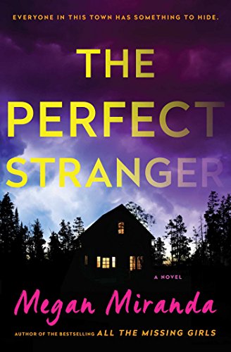 Beispielbild fr The Perfect Stranger: A Novel zum Verkauf von Better World Books