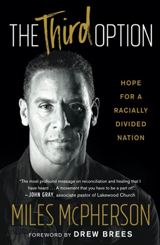Beispielbild fr The Third Option: Hope for a Racially Divided Nation zum Verkauf von Wonder Book