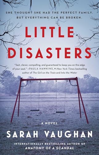 Imagen de archivo de Little Disasters: A Novel a la venta por Gulf Coast Books