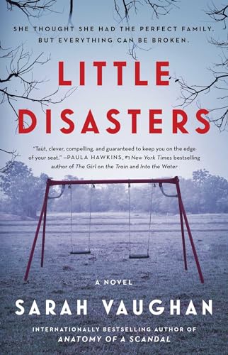 9781501172229: Little Disasters: A Novel