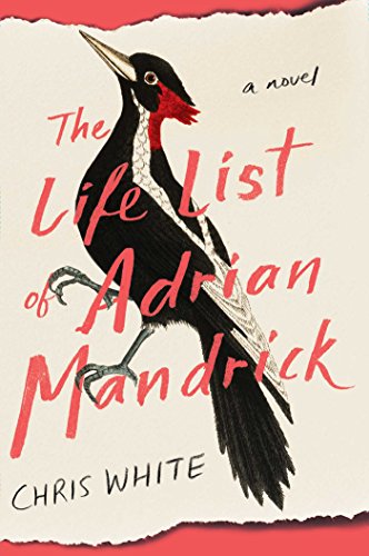 Stock image for The Life List of Adrian Mandrick: A Novel for sale by SecondSale