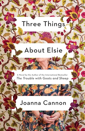 9781501187384: Three Things About Elsie: A Novel