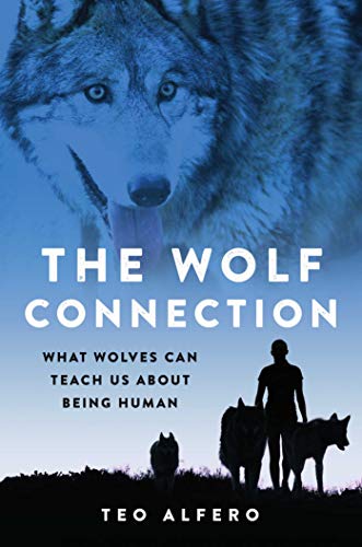 Beispielbild fr The Wolf Connection: What Wolves Can Teach Us about Being Human zum Verkauf von Jenson Books Inc