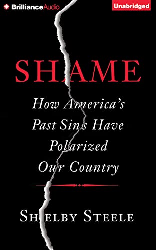 Stock image for Shame: How America's Past Sins Have Polarized Our Country for sale by SecondSale
