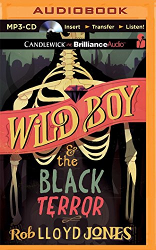 Stock image for Wild Boy & the Black Terror for sale by Revaluation Books