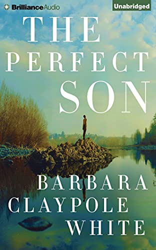 9781501252044: The Perfect Son
