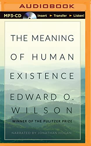 Imagen de archivo de Meaning of Human Existence, The a la venta por SecondSale