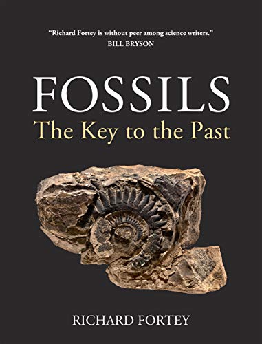 Imagen de archivo de Fossils: The Key to the Past a la venta por ThriftBooks-Dallas