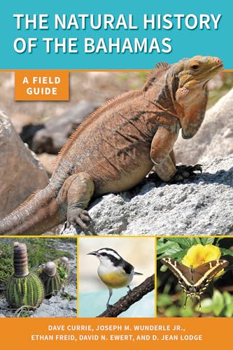 Beispielbild fr The Natural History of The Bahamas: A Field Guide zum Verkauf von Midtown Scholar Bookstore