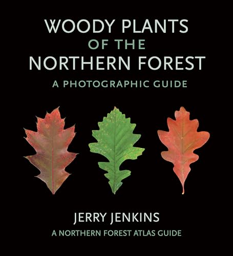 Beispielbild fr Woody Plants of the Northern Forest - A Photographic Guide zum Verkauf von PBShop.store US