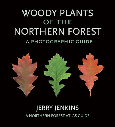 Stock image for Woody Plants of the Northern Forest - A Photographic Guide for sale by PBShop.store US