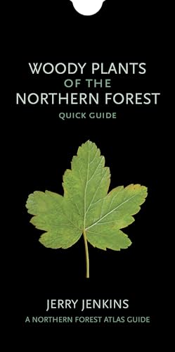9781501724350: Woody Plants of the Northern Forest: Quick Guide (The Northern Forest Atlas Guides)