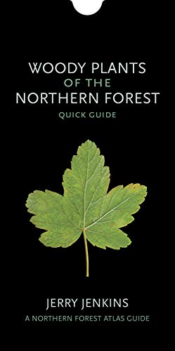 Stock image for Woody Plants of the Northern Forest Quick Guide The Northern Forest Atlas Guides for sale by PBShop.store US