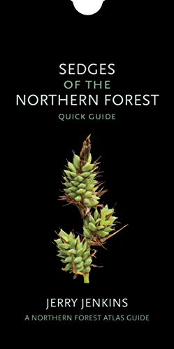 Beispielbild fr Sedges of the Northern Forest: Quick Guide (Northern Forest Atlas Guides) zum Verkauf von Buchpark