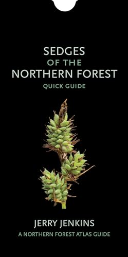 Stock image for Sedges of the Northern Forest - Quick Guide for sale by PBShop.store US