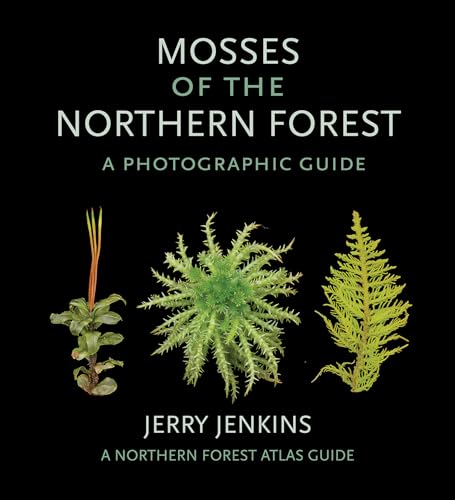 Stock image for Mosses of the Northern Forest A Photographic Guide The Northern Forest Atlas Guides for sale by PBShop.store US