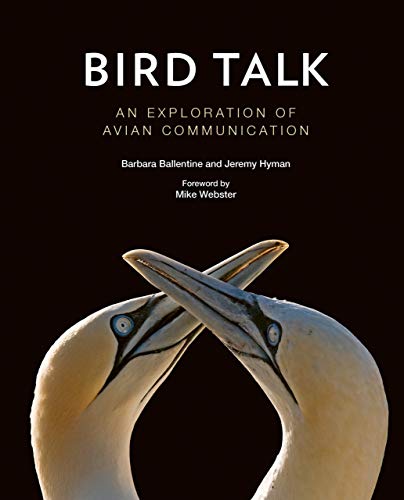 Beispielbild fr Bird Talk: An Exploration of Avian Communication zum Verkauf von ThriftBooks-Dallas