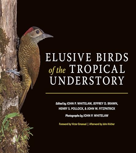 Beispielbild fr Elusive Birds of the Tropical Understory zum Verkauf von Blackwell's