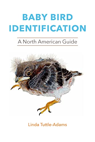Imagen de archivo de Baby Bird Identification : A North American Guide a la venta por GreatBookPrices