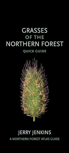 Stock image for Grasses of the Northern Forest - Quick Guide for sale by PBShop.store US