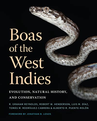 Beispielbild fr Boas of the West Indies: Evolution, Natural History, and Conservation zum Verkauf von Monster Bookshop