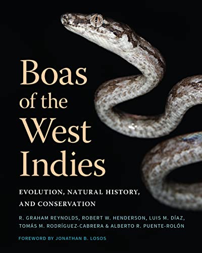 Imagen de archivo de Boas of the West Indies : Evolution, Natural History, and Conservation a la venta por GreatBookPrices